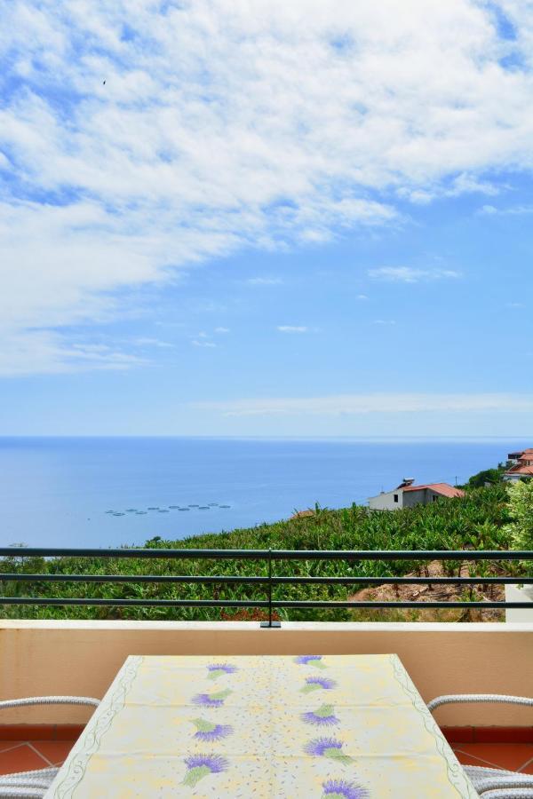Jardim Do Arco "Esmee" Apartman Arco da Calheta Kültér fotó