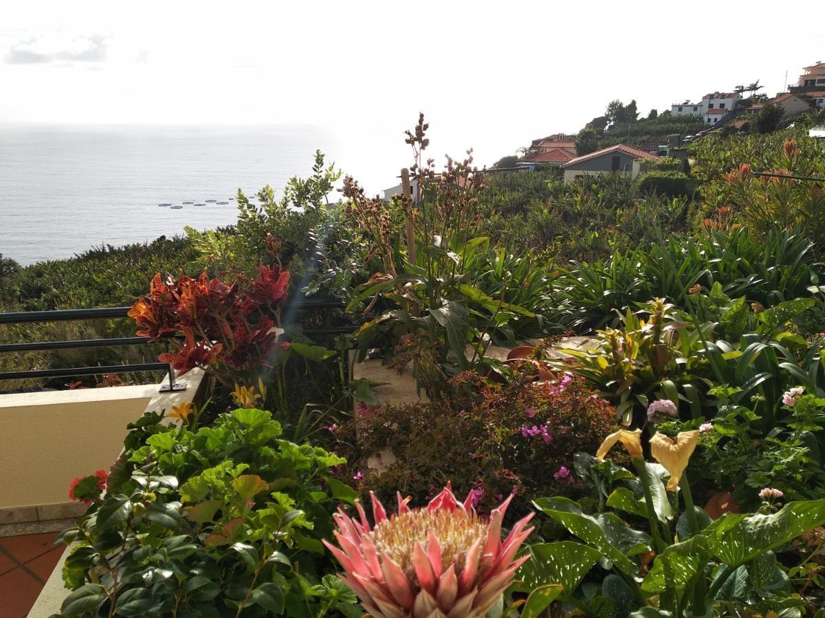 Jardim Do Arco "Esmee" Apartman Arco da Calheta Kültér fotó