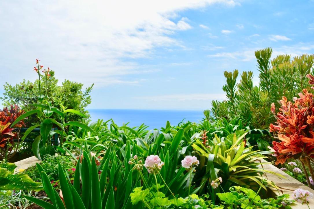 Jardim Do Arco "Esmee" Apartman Arco da Calheta Kültér fotó
