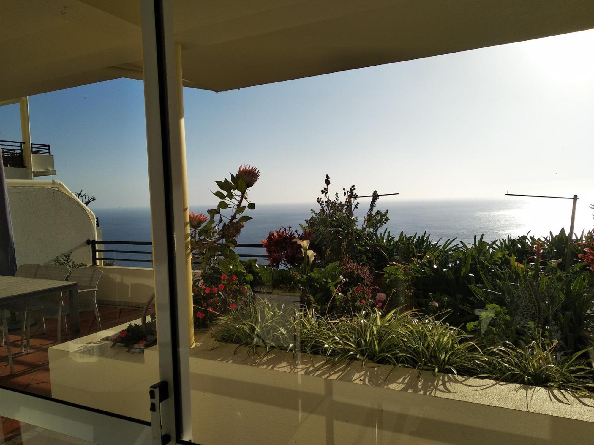 Jardim Do Arco "Esmee" Apartman Arco da Calheta Kültér fotó