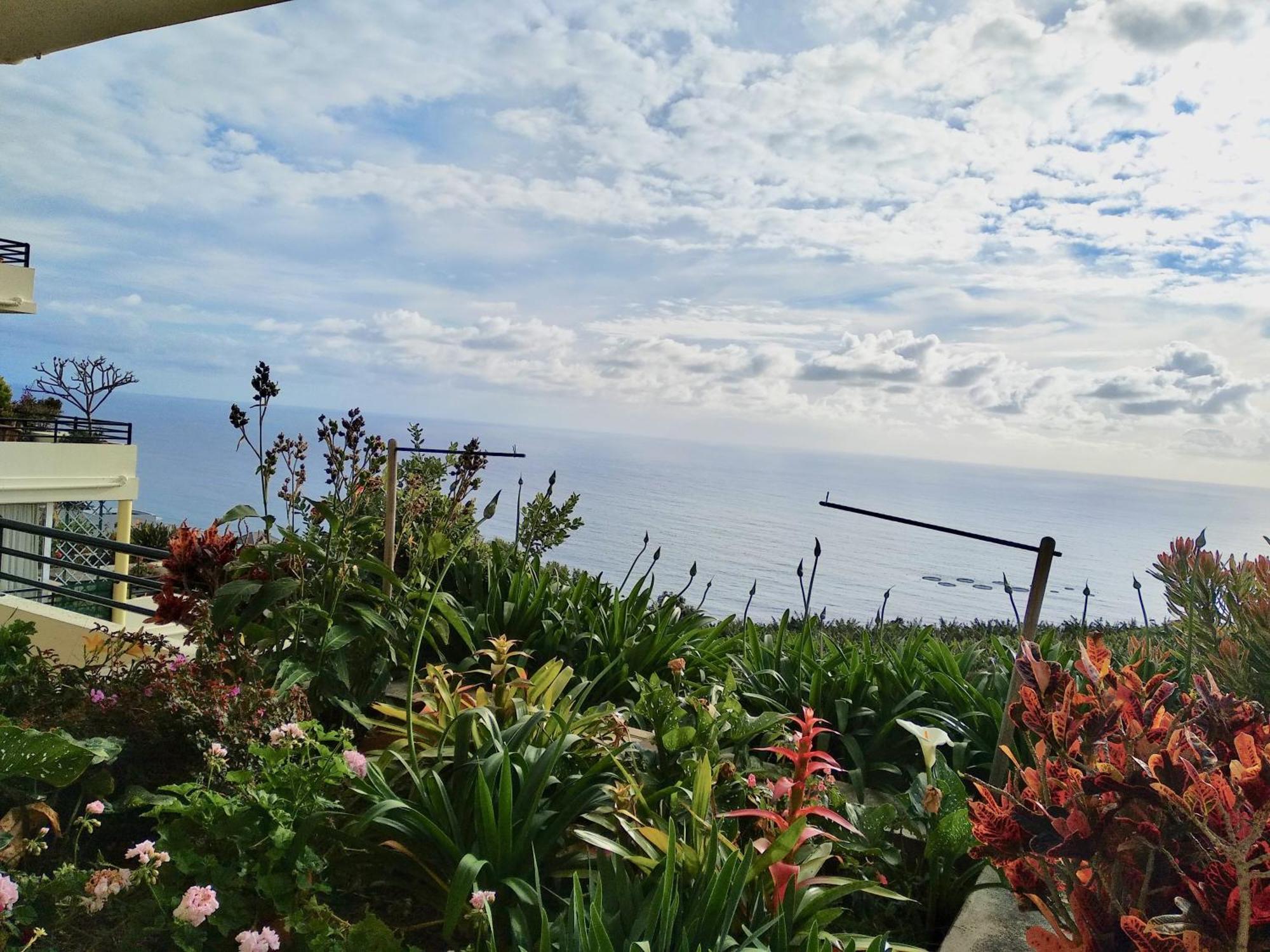 Jardim Do Arco "Esmee" Apartman Arco da Calheta Kültér fotó