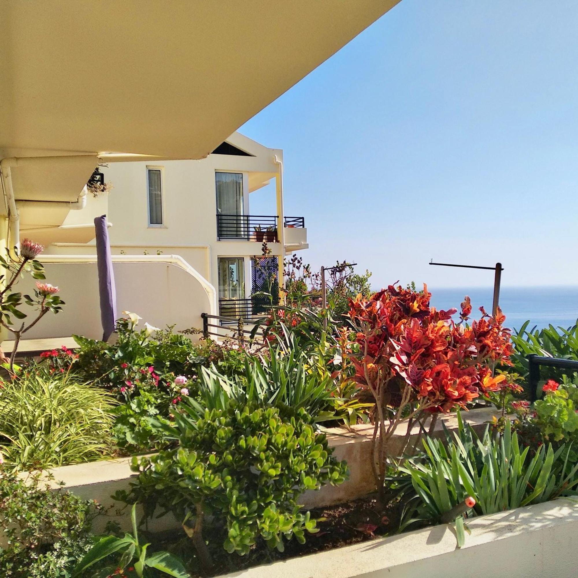 Jardim Do Arco "Esmee" Apartman Arco da Calheta Kültér fotó